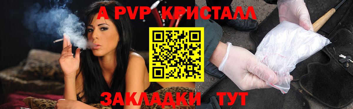 A-PVP СК КРИС Аша