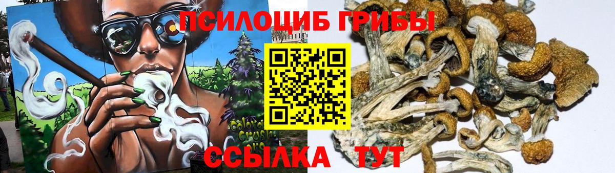 Псилоцибиновые грибы Psilocybe  Вход с VPN  Аша  Псилоцибиновые грибы MAGIC MUSHROOMS 